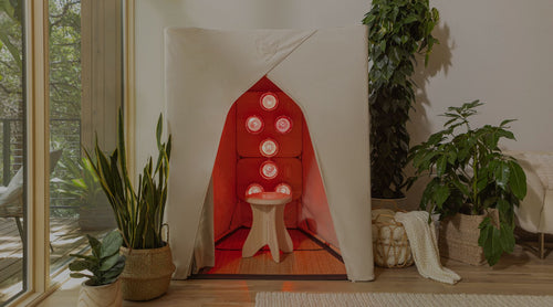 FireLight® Infrared SuperSauna - Natural in a living room with plants