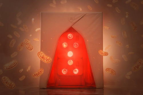 What Most Saunas Miss About Mitochondria