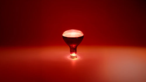 FireLight Infrared Therapy Bulb on a red background