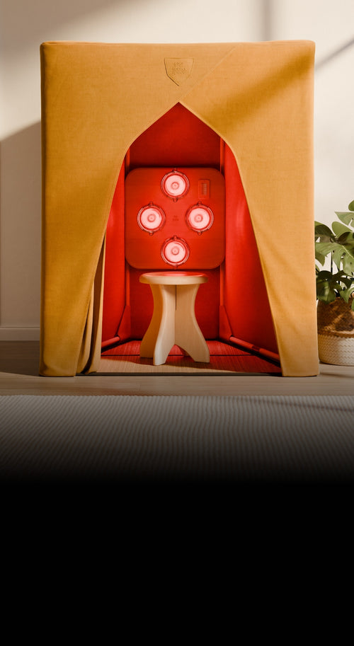 FireLight Infrared Sauna - Turmeric in a bright room with a plant.