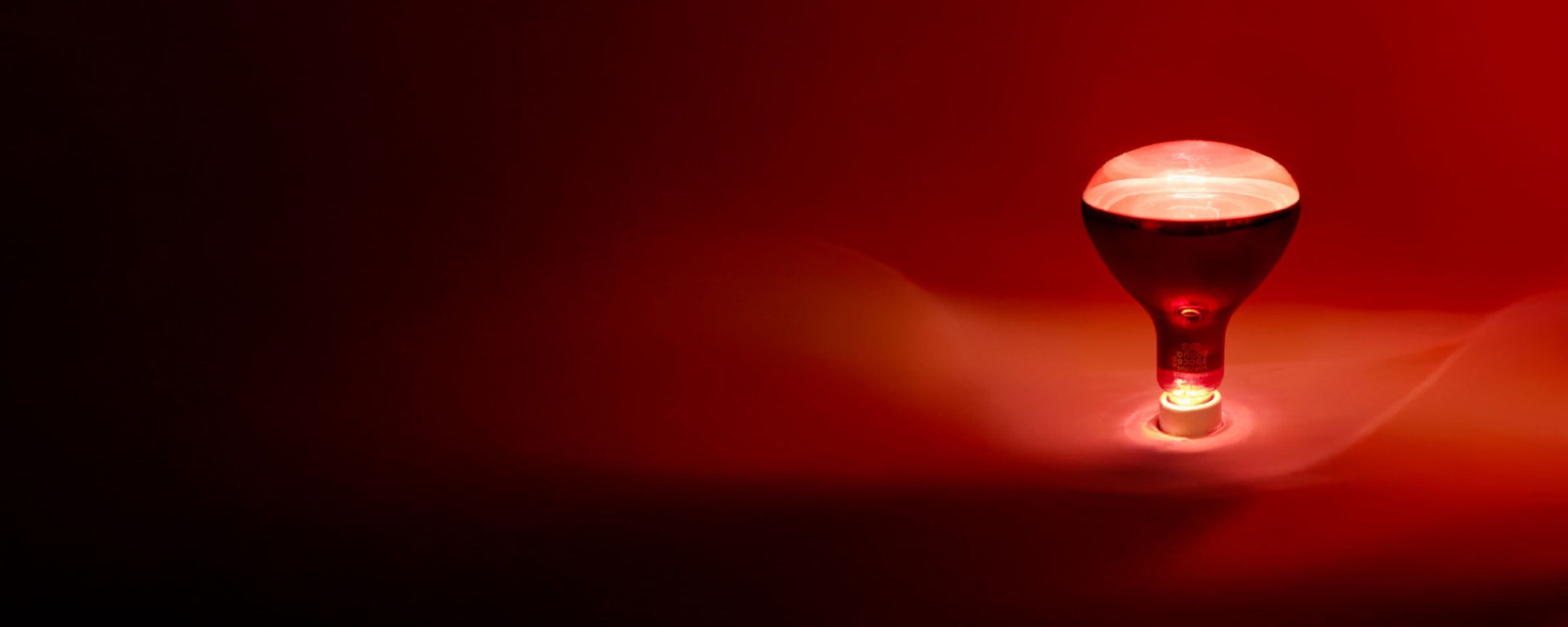FireLight® Infrared Bulb turned on and facing up next to darkness