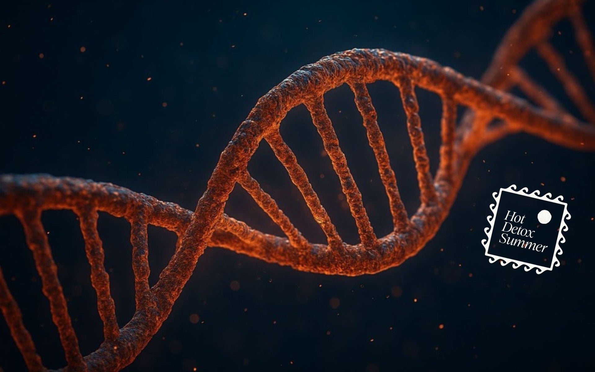 The MTHFR Mutation and Detox Deficiency: What You Need to Know