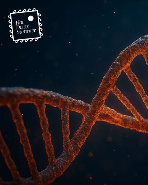 Glowing DNA double helix in cool blue and purple tones, set against a dark background with abstract particles and light rays suggesting cellular activity and detox pathways.