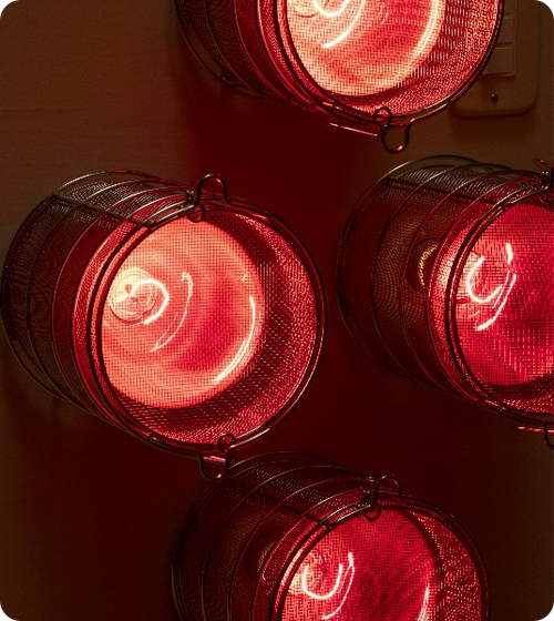 Close-up of Hearth Infrared Sauna Panel with lights on
